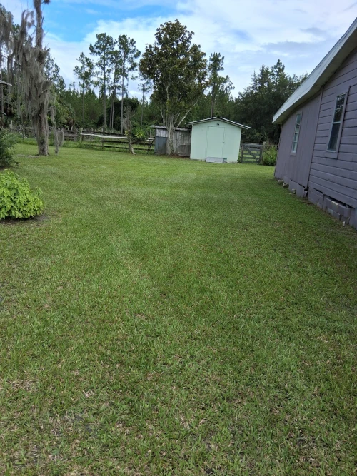 lawncare services
