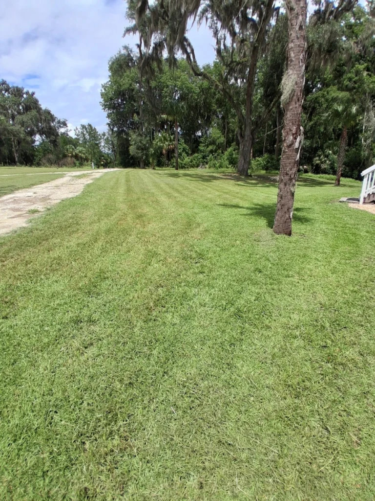lawncare