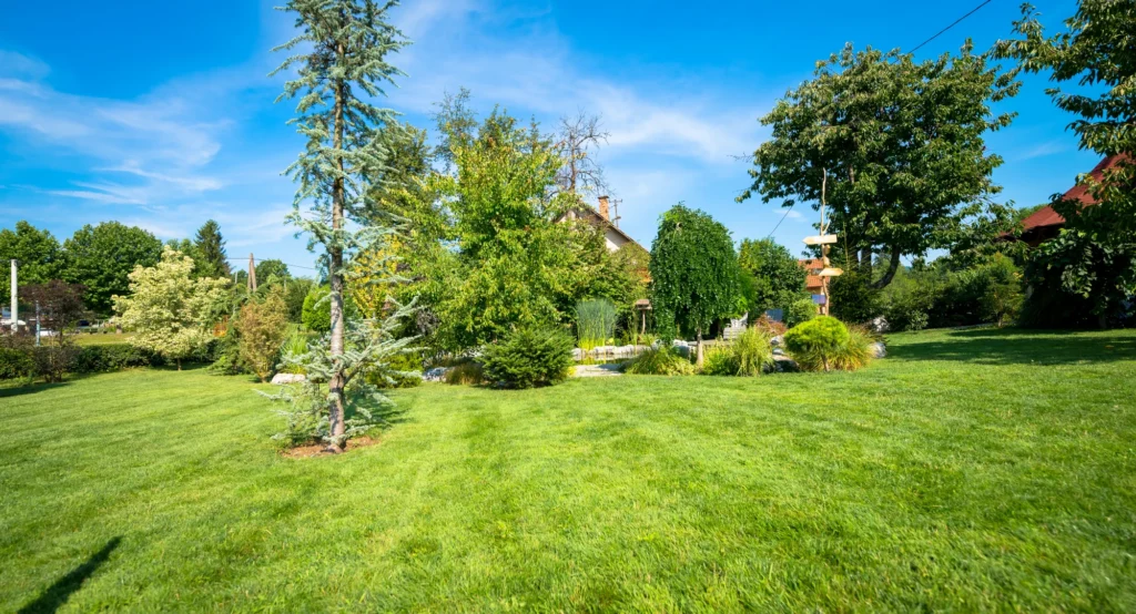 5 Stones Lawncare