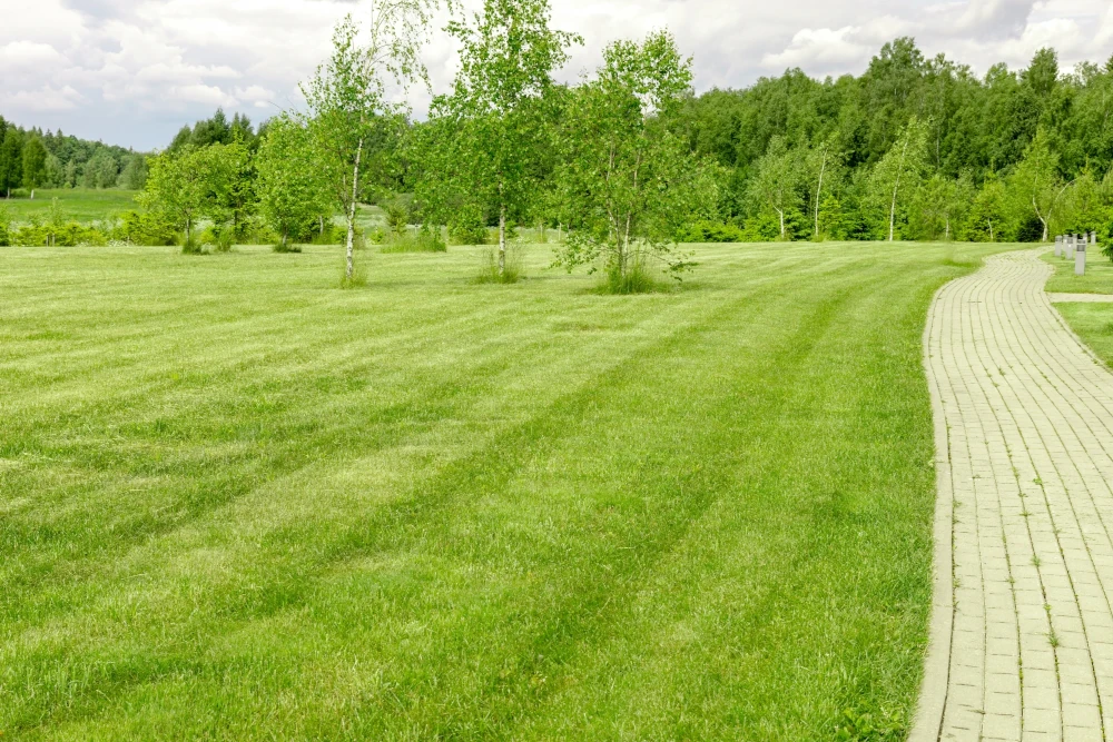 Contact 5 Stones Lawncare